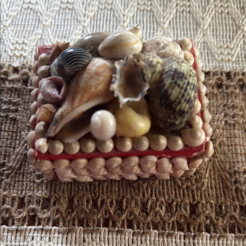 COPY - Seashell Decorative Box - Multicolor